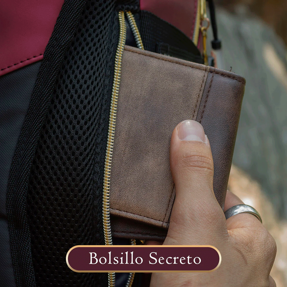 Mochila Premium Gryffindor – Hogwarts Legacy